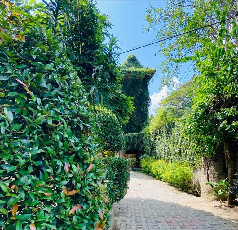 Udf Nature Villa Κάντι Εξωτερικό φωτογραφία